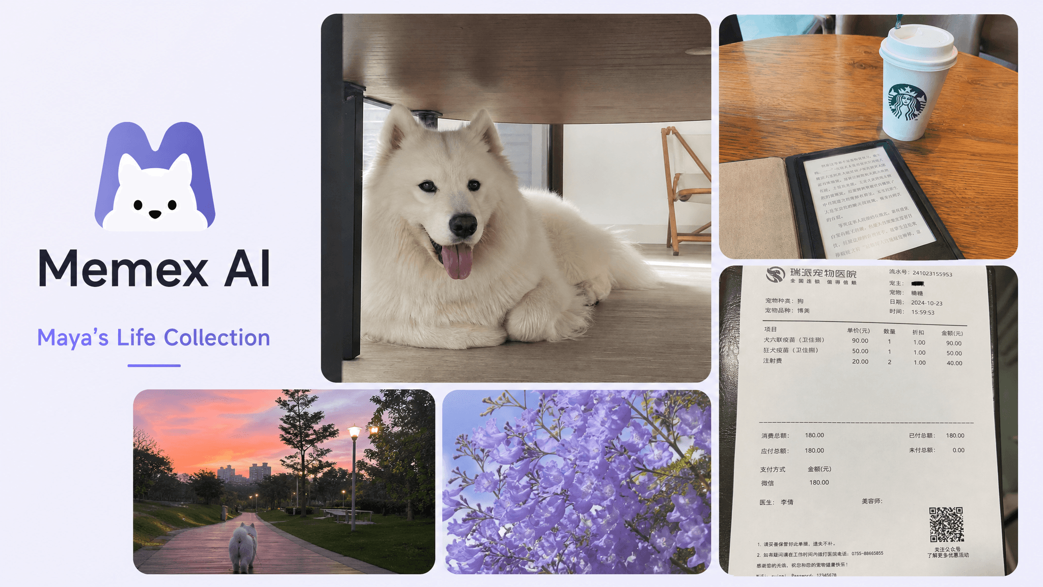 Maya's life collection in Memex with dog photos, a receipt, reading notes, flowers, and sunset memories