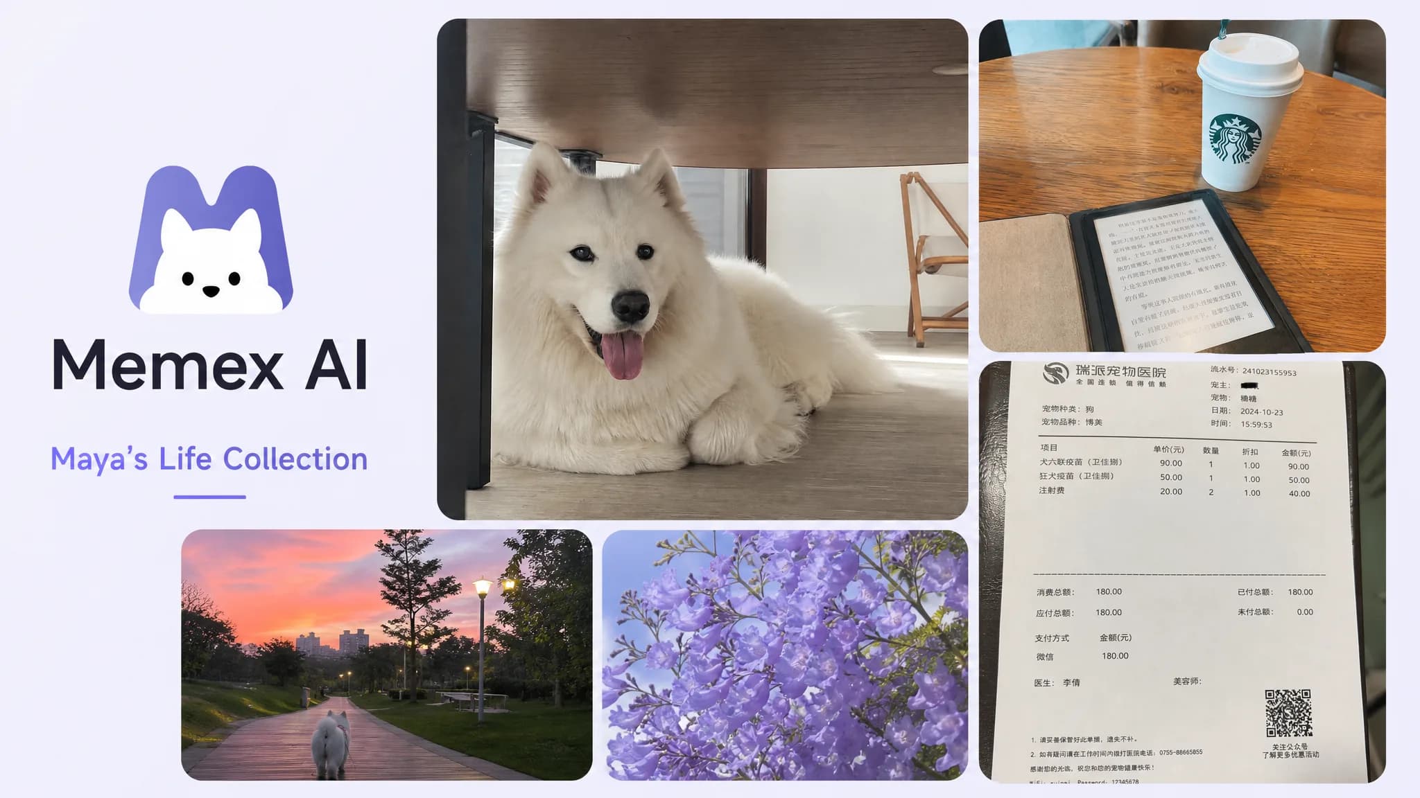 Maya's life collection in Memex with dog photos, a receipt, reading notes, flowers, and sunset memories