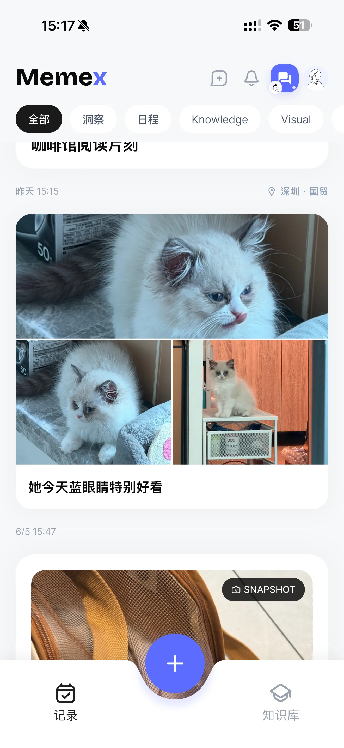 Memex cat photo diary entry showing a cat photo collage in the daily timeline