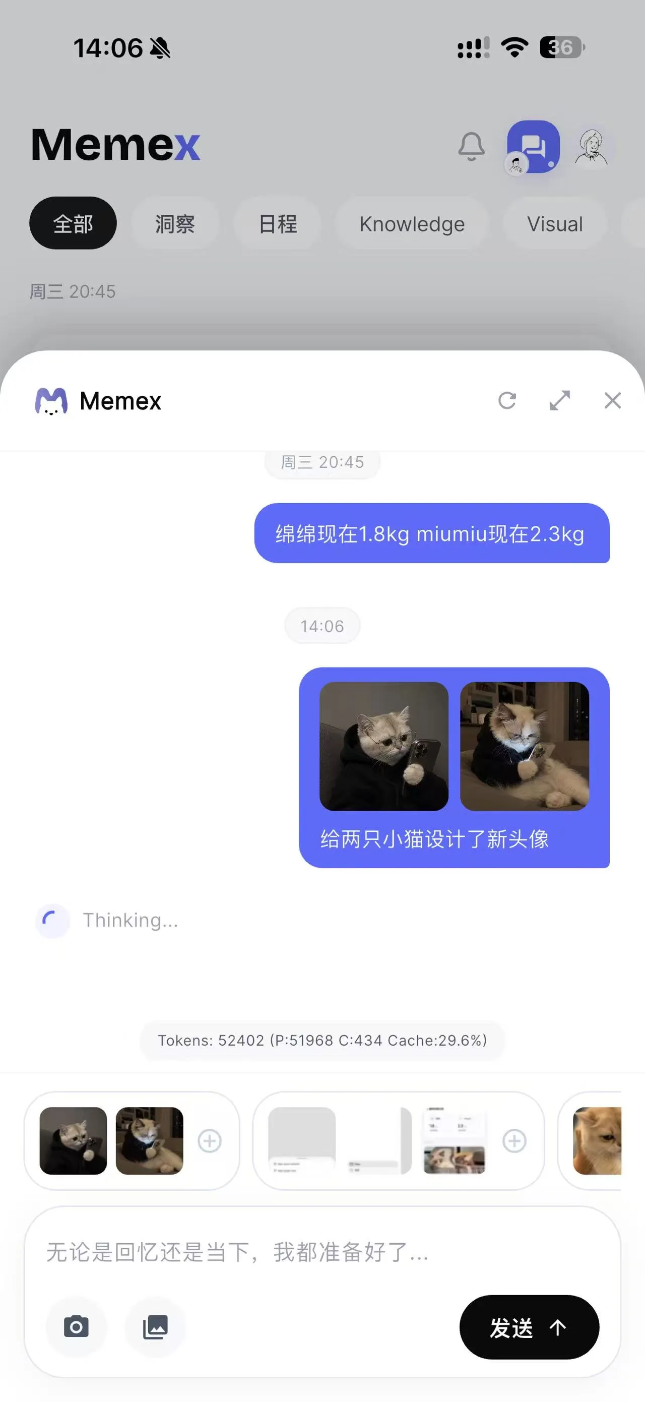 Memex mobile app showing a conversational capture with text and two cat photos attached