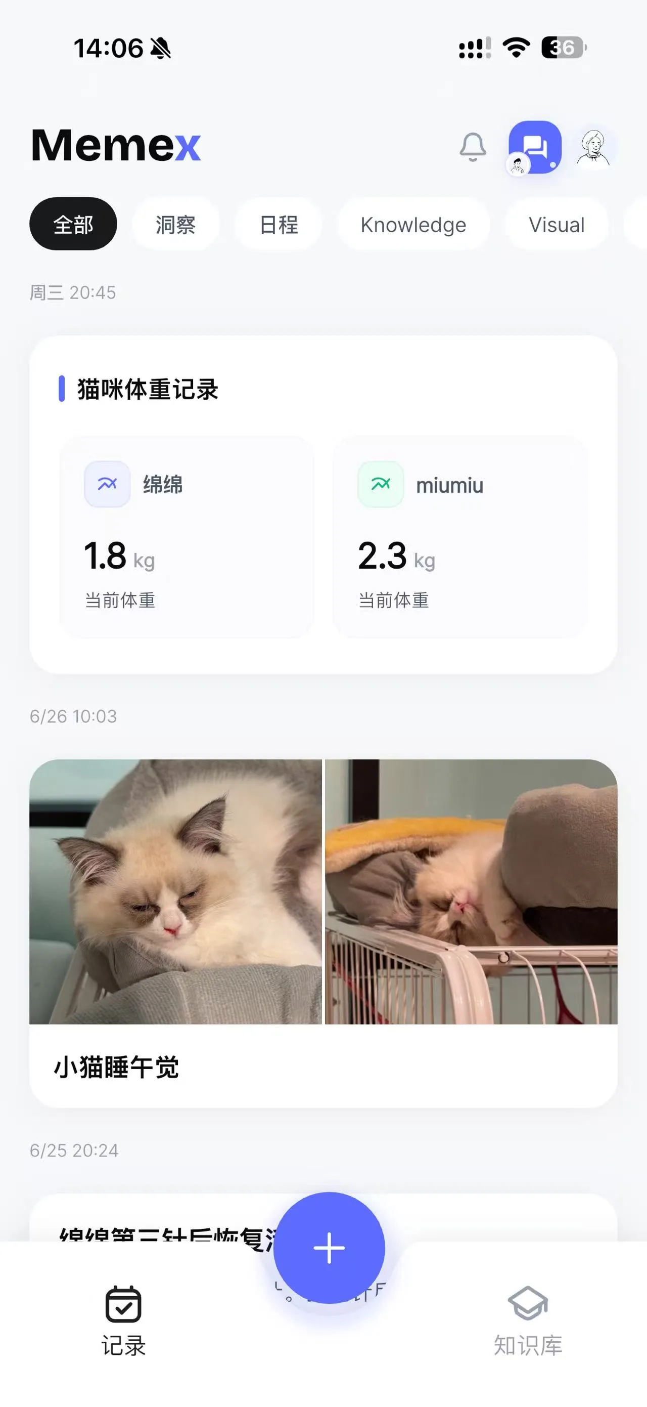 Memex timeline showing a cat weight record and a photo card