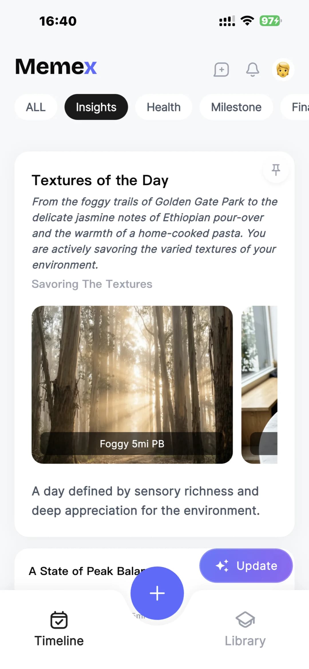 Memex app screenshot — インサイト